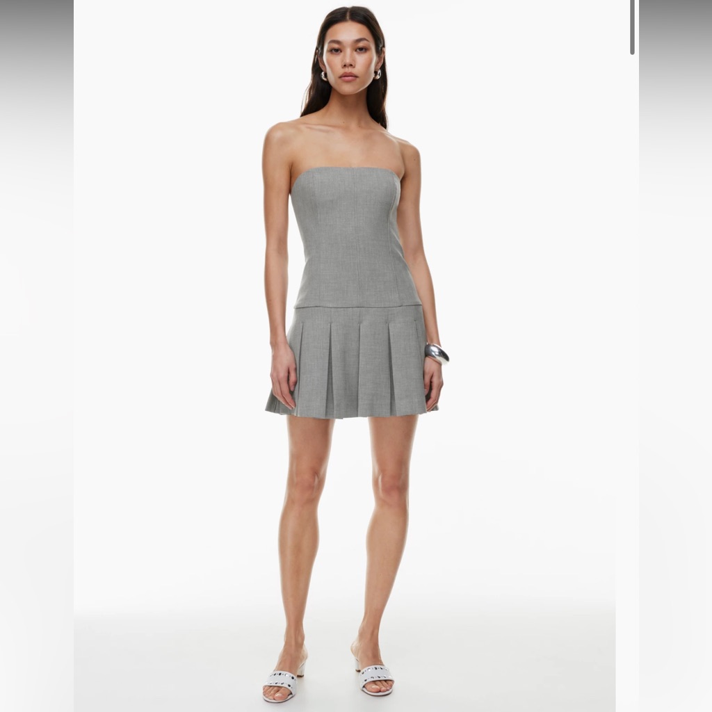 Aritzia Polished Mini Dress